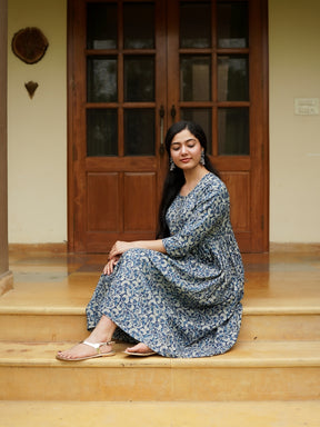 Blue Printed Flared Cotton Dress